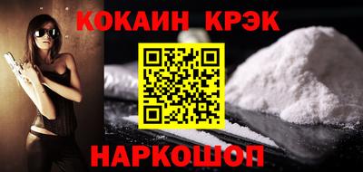 крисы Можга