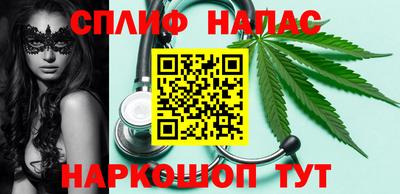 крисы Можга