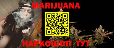крисы Можга