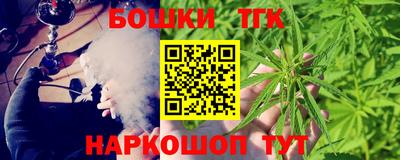 крисы Можга