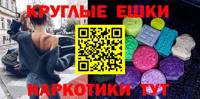 крисы Можга