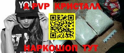 крисы Можга